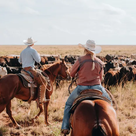 Paardrijden op een ranch in Texas, USA