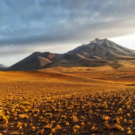 De Atacama woestijn in Chili