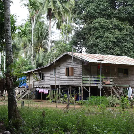 Tanjung Datu NP in Sarawak