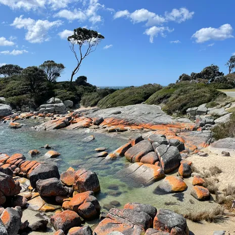 Het kleurenpalet van Bay of Fires, Tasmanië, Australië