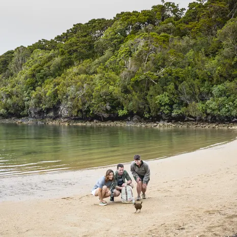 Wildlife spotten op Stewart Island in Nieuw-Zeeland