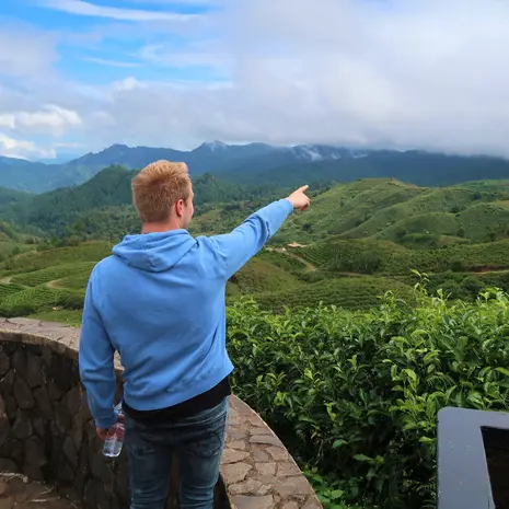Groene hooglanden van Malino op Sulawesi