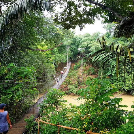 Via een hangbrug naar je verblijf in Tangkahan, Sumatra, Indonesië