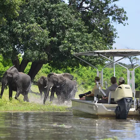 Chobe National Park bezoeken tijdens een rondreis Botswana