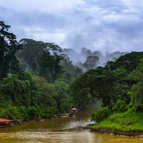 Taman Negara NP in Maleisië