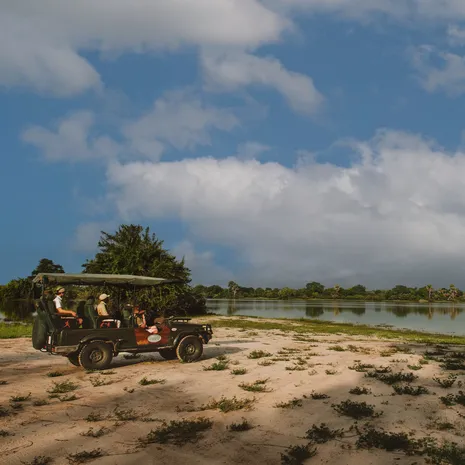 Spannende safari's in Nyerere National Park, Zuid-Tanzania