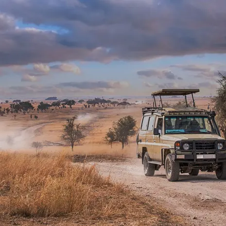 Op safari in Tanzania met Van Verre