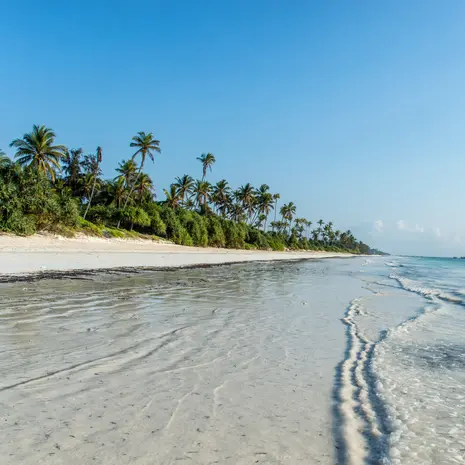 De Tanzania safari afsluiten op de witte stranden van Zanzibar