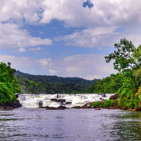 Ongerepte natuur op Koh Kong in Cambodja