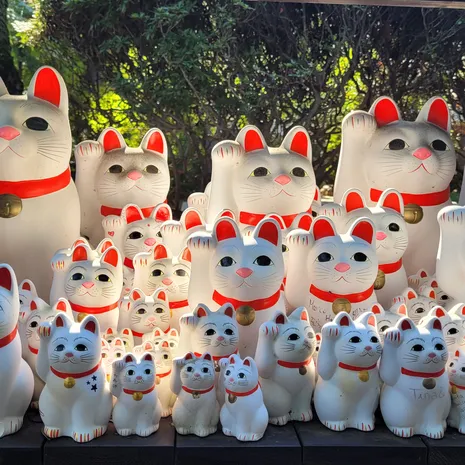 Allemaal katten in de Gotokuij tempel