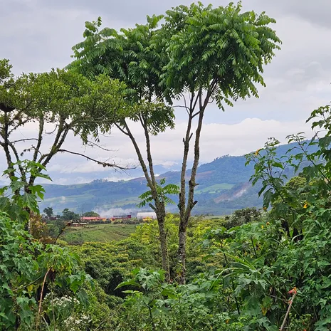 Uitzicht in Turrialba