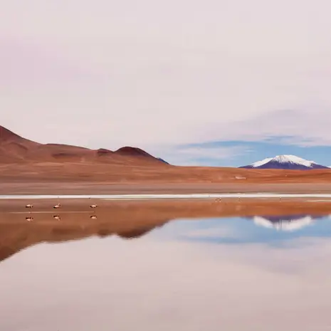 De zoutvlaktes van Uyuni in Bolivia