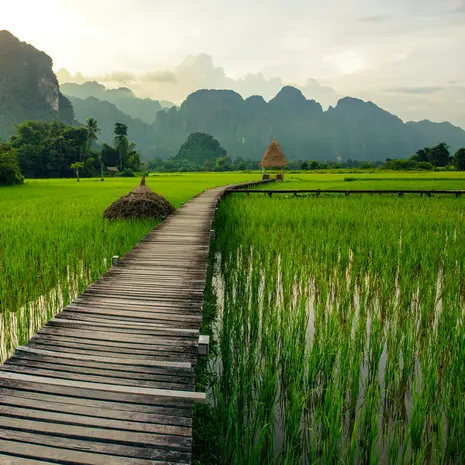 Ontdek de landschappen van Laos