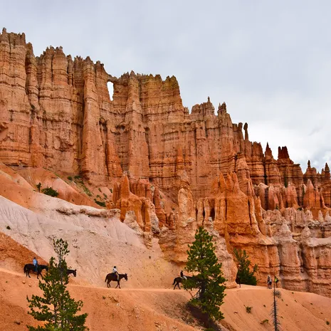 Verenigde-Staten-Bryce-Canyon-rotsen-paarden_1_548970