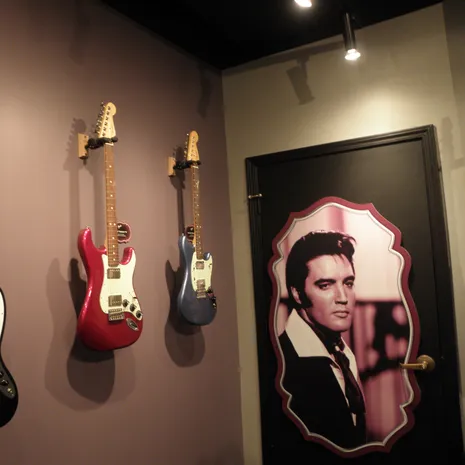 VerenigdeStaten-Memphis-Graceland-gitaren