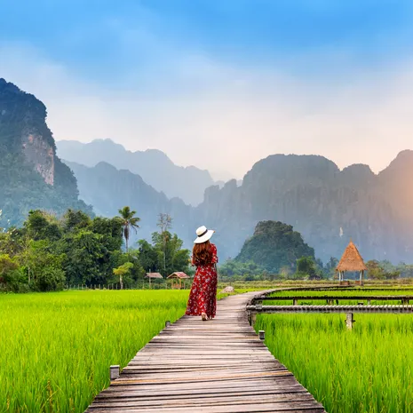 Vrouw in de rijstvelden bij Vang Vieng