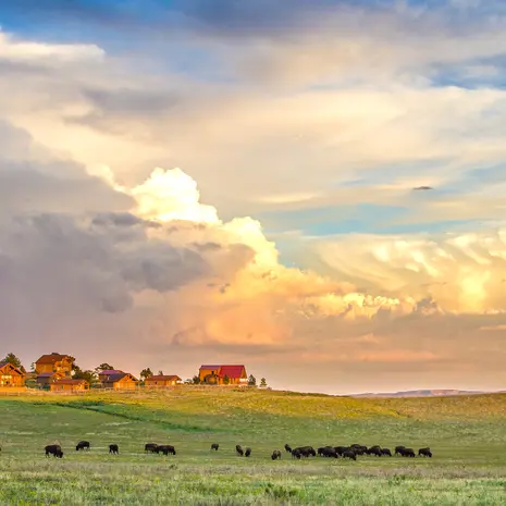 Bezoek Zion-Zion-Mountain-Ranch in Amerika