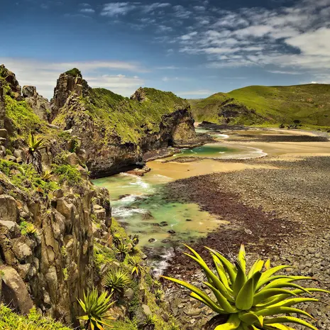 De Woeste Westkust van Zuid-Afrika