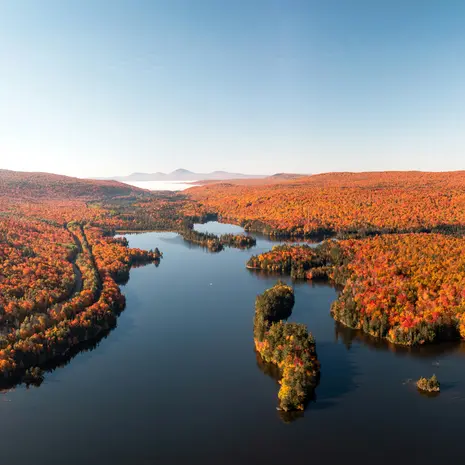 de prachtige herfstkleuren van Indian Summer in New England in Amerika