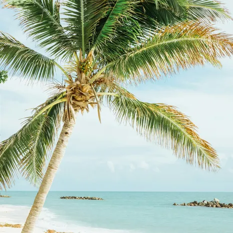Op cruise naar de Bahamas vanuit Miami