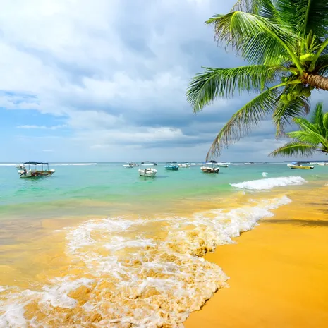 Palmbomen, blauwe zee en strand: Hikkaduwa Beach