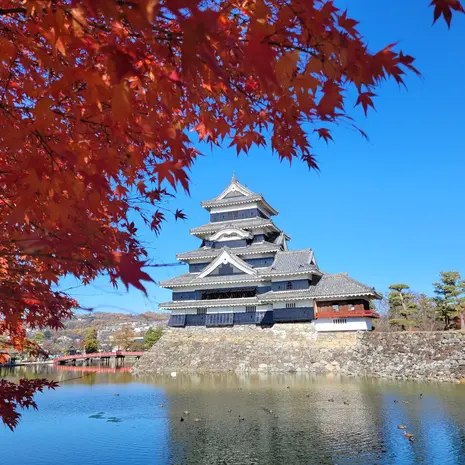 Matsumoto kasteel omgeven door de Japanse herfstkleuren