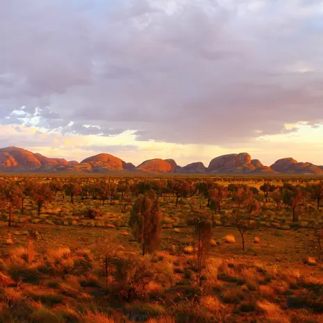 Kata Tjuta zonsondergang in de Outback van Australië