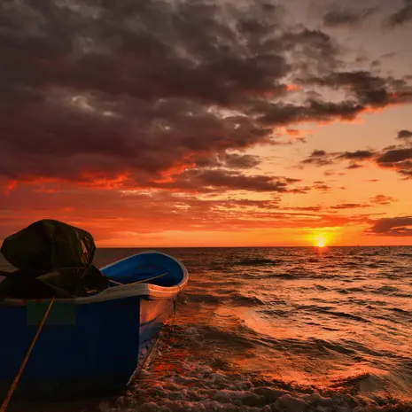 Ongerepte natuur op Koh Kong in Cambodja