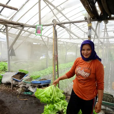 Green house op het landgoed Kaliandra