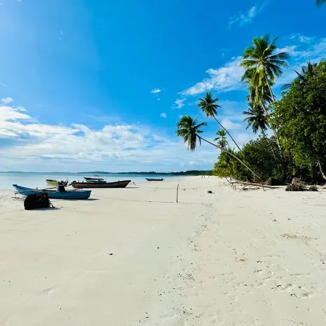 Bounty-gehalte op de Kei eilanden van de Molukken