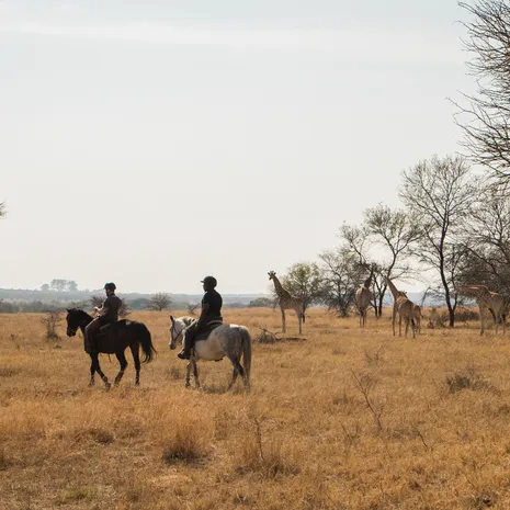 Paardrijden door Mlilwane, Swaziland