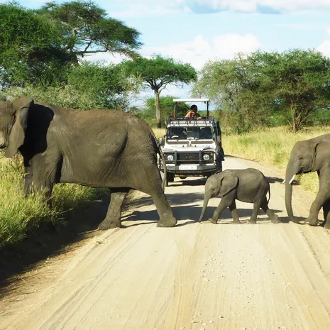 Op familie safari door Tanzania