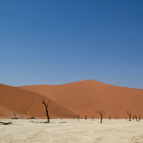 De prachtige Sossusvlei in Namibië ontdek je ook tijdens deze rondreis
