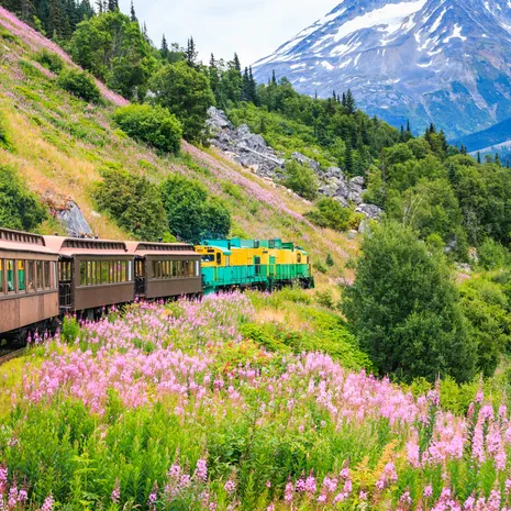 Treinreis bij Skagway, Alaska, Amerika