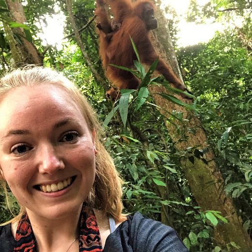 Melany Sumatra Bukit Lawang