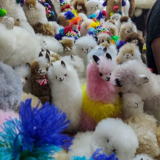 Kleurrijke markt in Cuzco met alpaca's