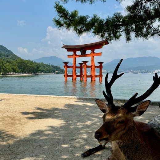 Bezoek aan Miyajima