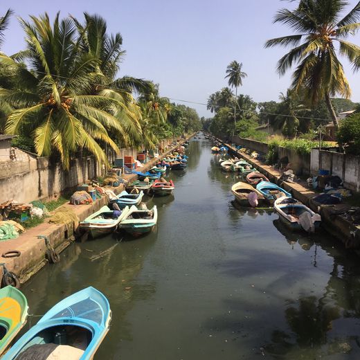 Negombo-Hamilton-Canal-3b78c2e7(12)
