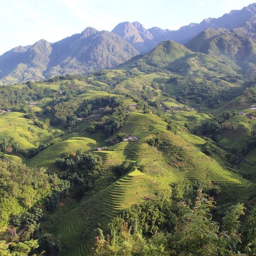 Rijstvelden Sapa