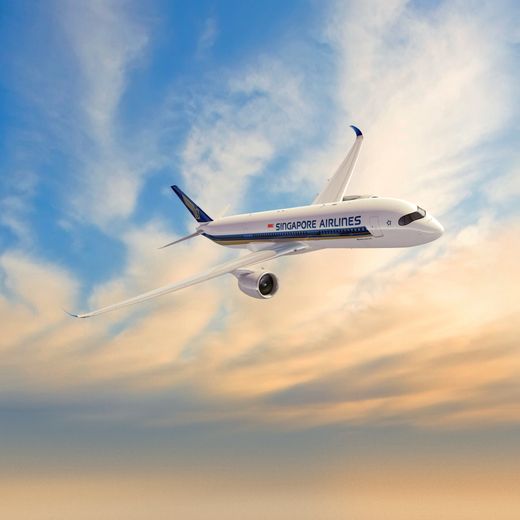 Vliegtuig van Singapore Airlines