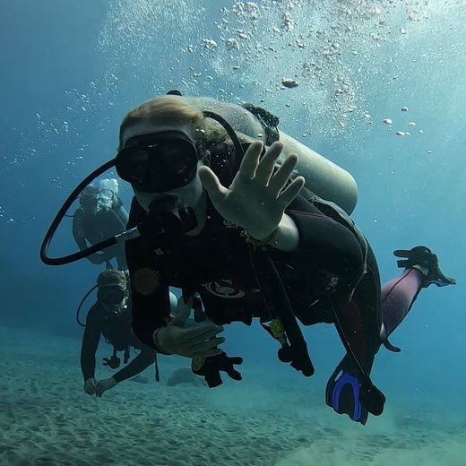 Duiken met manta's bij Nusa Penida op Bali, Indonesië