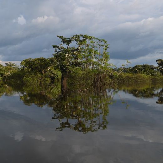 Cuyabeno, Ecuador