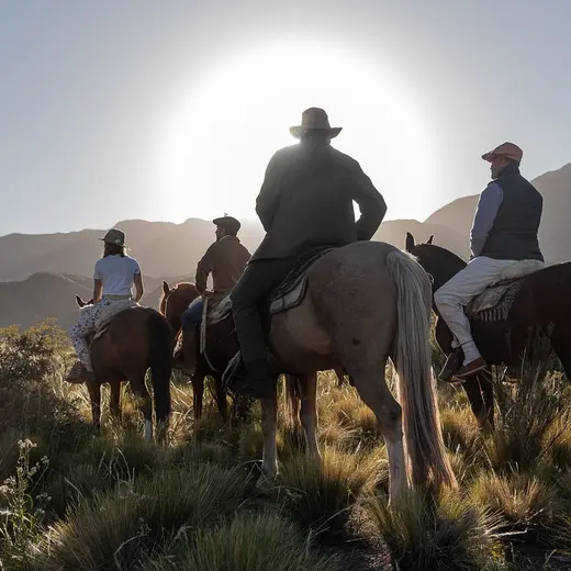 Op het paard in Argentinië