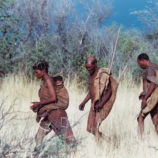 Kalahari Bushman