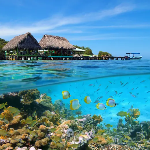 Snorkelen bij Bocas del Toro, Panama
