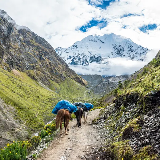 Salkantay trail met paarden, Peru Salkantay trail met paarden, Peru