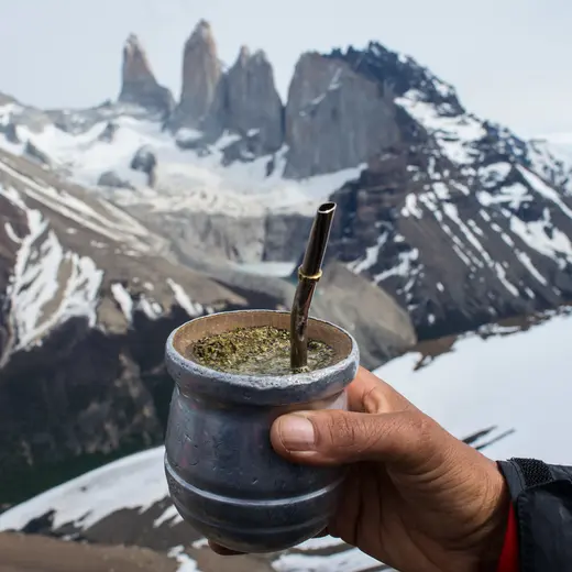 Hiking Cerro Paine on a wildlife safari
