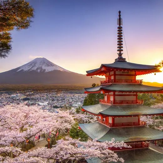 Mount fuji en kersenbloesem